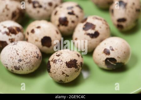 Quail eggs on a green ceramic plate, close up shot Stock Photo