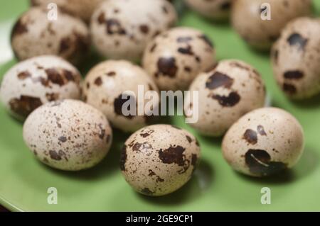 Quail eggs on a green ceramic plate, close up shot Stock Photo