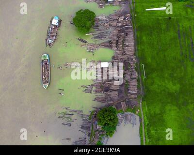 Sundari Tree Timber Aerial view of floating timber market during monsoon season with ...