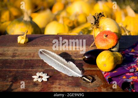 Autumn frame Composition and layout made of colorful pumpkins, eggplant, goose feather purple flower background textile Aged old red background Blurre Stock Photo