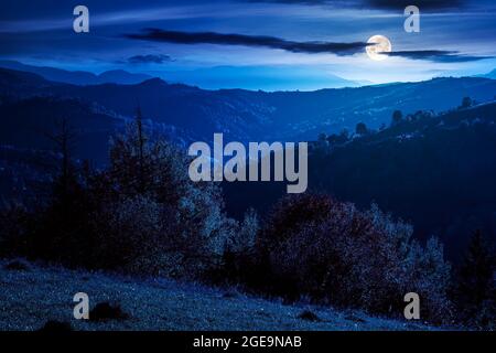 countryside rural landscape in autumn at night. trees in colorful foliage on rolling hills. hazy scenery in full moon light. nature beauty of carpathi Stock Photo