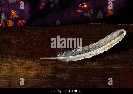 A goose feather on an aged antique dark old red wood background. Quill pen for writing. Violet textile. The concept of language, literature, editing, Stock Photo