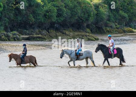 Horse riders on the tidal Gannel River at low tide in Newquay in Cornwall. Stock Photo
