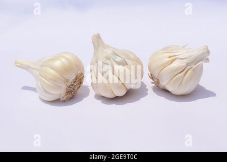 Three garlic bulbs on white background. Stock Photo