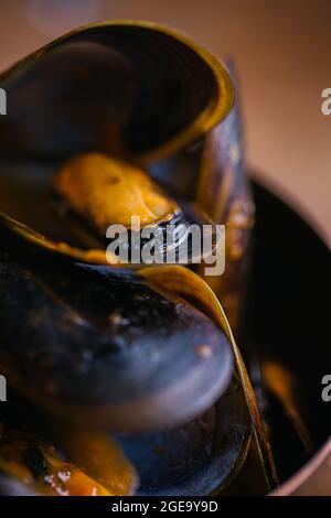 Delectable mussels with herbs in metal saucepan Stock Photo