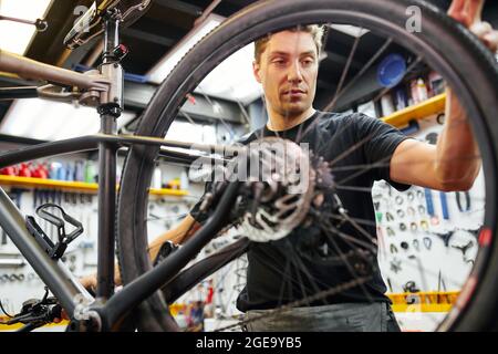 Male technician attaching wheel to bike while working in professional modern workshop Stock Photo