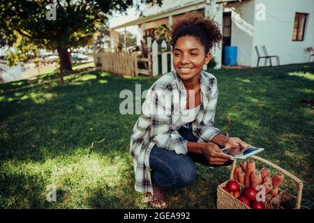 Mixed race female crouching down next to basket of fresh vegetables researching nutritional information on digital tablet  Stock Photo