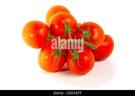 isolated on white. Red ripe Tomato close-up. Tomatoes branch. Stock Photo