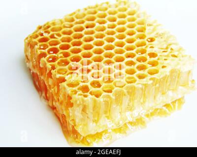 honeycomb isolated on white background Stock Photo