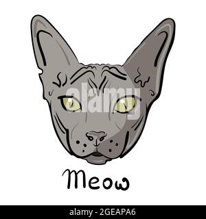 Hand-drawn head of a sphinx cat. Vector illustration. Stock Vector