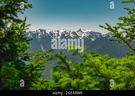 The Olympic mountains in summer, viewed from the Hurricane Hill trail in Olympic National Park. Stock Photo