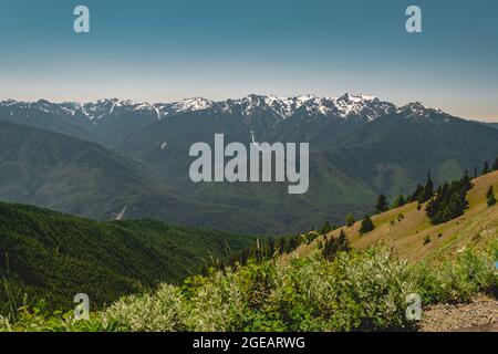 The Olympic mountains in summer, viewed from the Hurricane Hill trail in Olympic National Park. Stock Photo