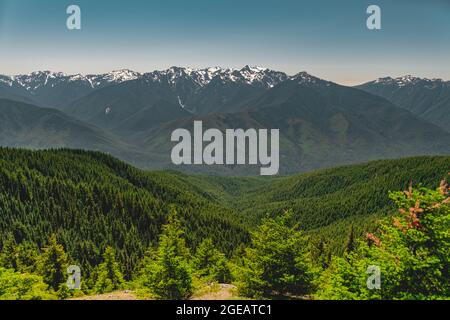 The Olympic mountains in summer, viewed from the Hurricane Hill trail in Olympic National Park. Stock Photo