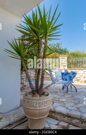 Facade of a old Greek village house with white washed wall and decorated with potted plant and flowers. Stock Photo