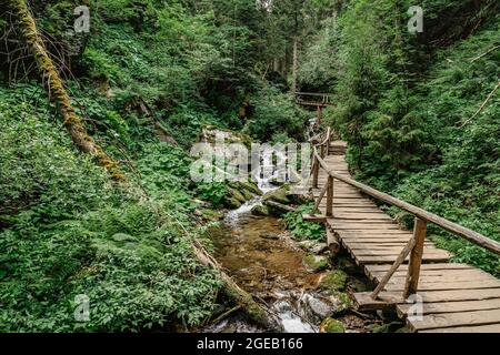 Hiking along Bila Opava River,Jeseniky Mountains,Czech Republic.Tourist trail with waterfalls,cascades,small wooden bridges and path,rock formations,r Stock Photo