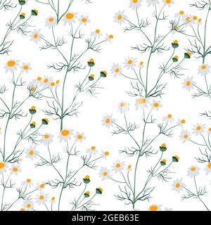 Chamomile flower with blossom seamless pattern Stock Vector