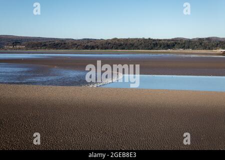 A close up view of the Arnside Bore, an amazing wave that travels upstream in the Kent Estuary in Cumbria on the highest tides, viewed from Arnside Stock Photo