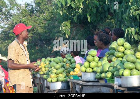 A man is seen buying mangoes from roadside vendors on the main highway from Lilongwe to Salima. Malawi. Stock Photo