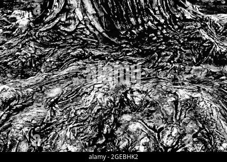 abstract black and white grunge background, intertwining tree roots. Vector illustration Stock Vector