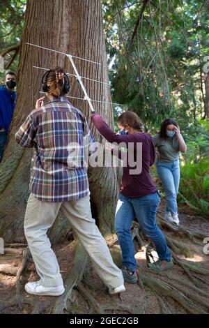 Blaine, Washington DC, USA. 18th Aug 2021. Staff members search for a hidden radio transmitter during an Asian giant hornet field training day at Birch Bay State Park in Blaine, Washington on Tuesday, August 18, 2021. The Washington State Department of Agriculture is cross-training staff with the Oregon Department of Agriculture in responding to Asian giant hornet detections in the region. Credit: Paul Christian Gordon/Alamy Live News Stock Photo