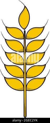 Wheat hand drawn illustration design template isolated Stock Vector