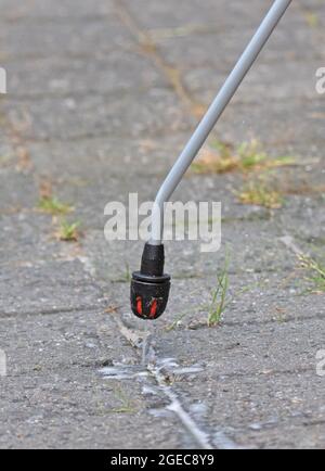 Spraying pesticide with portable sprayer to eradicate garden weeds - Weed control concept Stock Photo