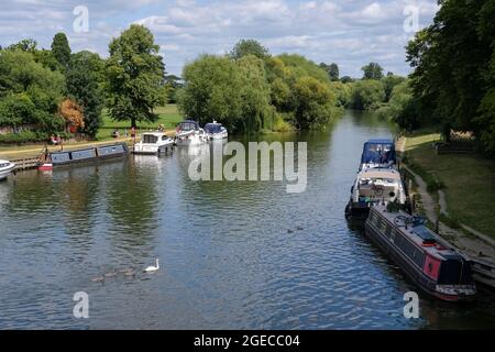 Pleasure boats moored on the River Thames at Wallingford, UK. Looking upstream from Wallingford Bridge. Stock Photo
