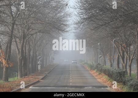 Rural road traffic on a Misty, foggy Morning Stock Photo