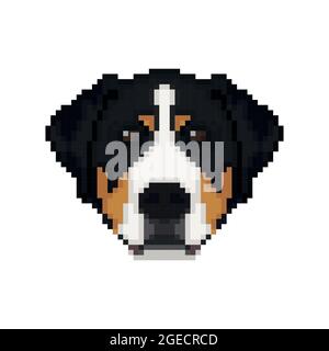 Swiss Mountain dog head in pixel art style. Dog vector illustration. Stock Vector