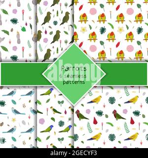 Parrot seamless pattern collection in cartoon style. Parrots cockatiel, kea, pionus and budgies, tropical leaves and flowers set of six backgrounds. Cute baby print for fabric and textile. Stock Vector
