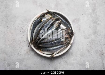 Freshly caught fresh sardines from the Mediterranean sea on the gray concrete background, top view Stock Photo