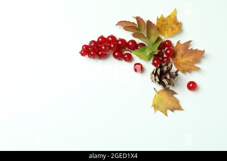 White background greeting for Happy Thanksgiving Day, pumpkins in a minimalist autumn holiday composition Stock Photo