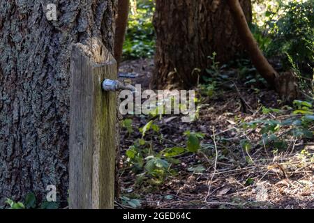 old water tap attatched to a wooden post in a park Stock Photo