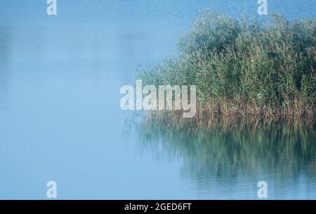 Misty landscape view of the reed island among a lake with reflections on the water surface at sunrise. Relaxing meditative scene, pastel colors, trave Stock Photo