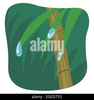 water drops on leaves Illustration Stock Vector