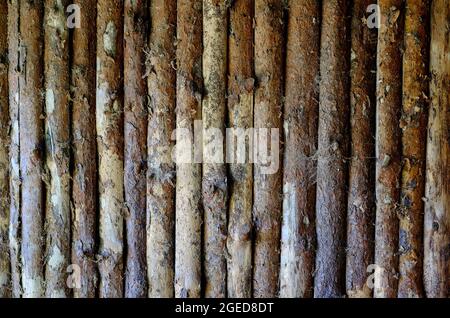 weathered tree trunk wall, norfolk, england Stock Photo