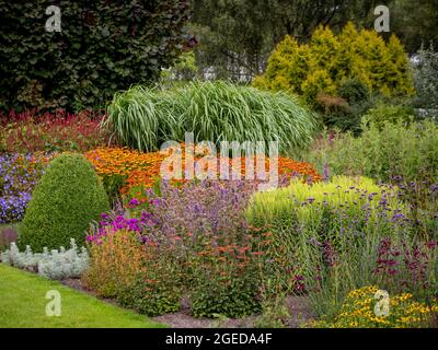 Multicoloured summer flowering perennials and ornamental grasses growing in flower border in a UK garden. Stock Photo
