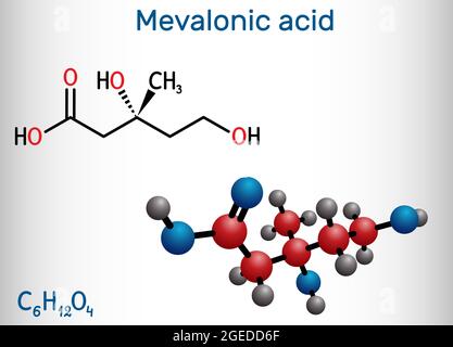 Mevalonic acid, MVA, R-mevalonic acid molecule. It is precursor in the mevalonate pathway, carboxylate anion is mevalonate. Structural formula Stock Vector