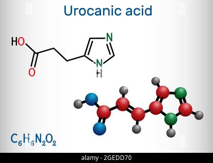 Urocanic acid molecule. It is intermediate product in the metabolism of histidine. Structural chemical formula and molecule model Stock Vector