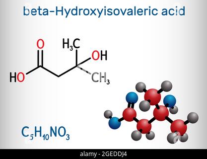 Beta-hydroxy beta-methylbutyric acid, HMB, beta-Hydroxyisovaleric acid molecule. It is indicator of biotin deficiency, leucine metabolite. Structural Stock Vector