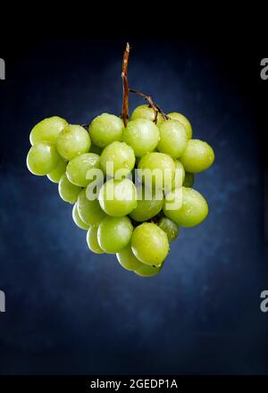 Bunch of hanging green organic grapes Stock Photo