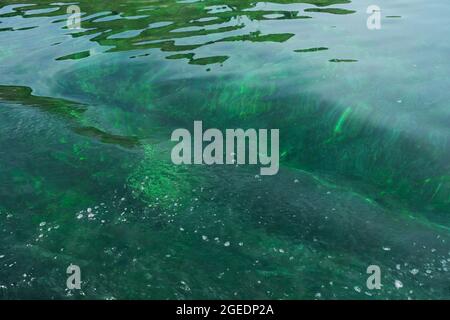 Transparent green blue tones water waves surface as background Stock Photo