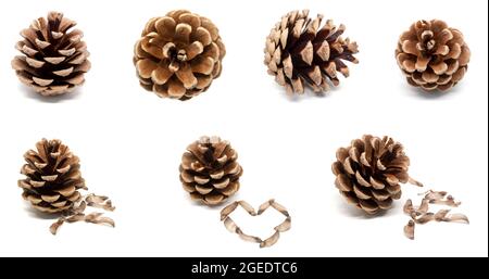 Set of dry brown pine cones with seeds isolated on white background Stock Photo
