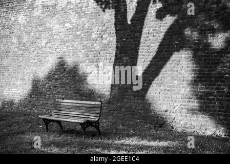 Grayscale shot of a bench under a bit tree shadow next to a high wall outdoors Stock Photo