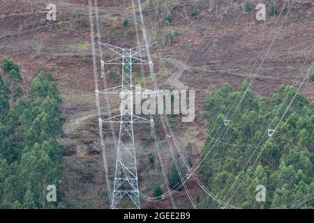 Visual impact of high voltage lines in the forest Stock Photo - Alamy
