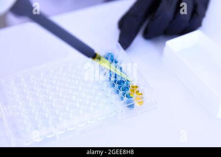 Lab Worker Adding Liquid to Test Tubes Stock Photo
