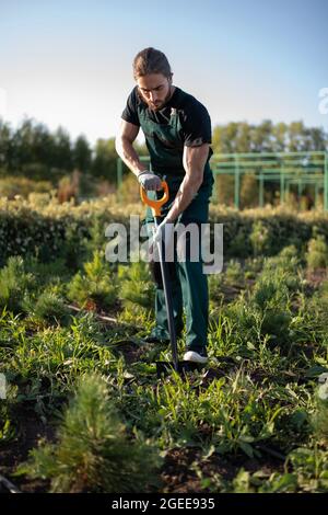 Man digging fertile soil with shovel near plants while working in garden in summer Stock Photo