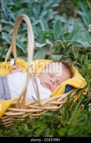 newborn sleeps in a basket on the grass with a yellow blanket Stock Photo