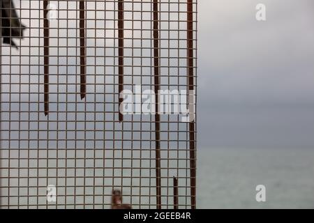Pattern of iron objects seen outdoors. Stock Photo