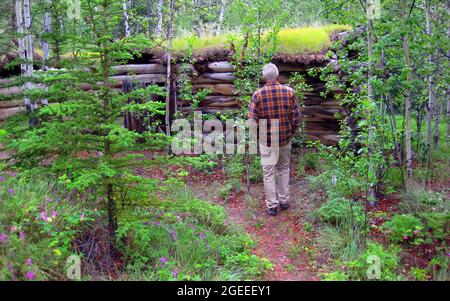 Mature man stands in front of a ramshackle trapper's cabin in the Alaskan wilderness.  Cabin has moss growing over the top of it. Stock Photo